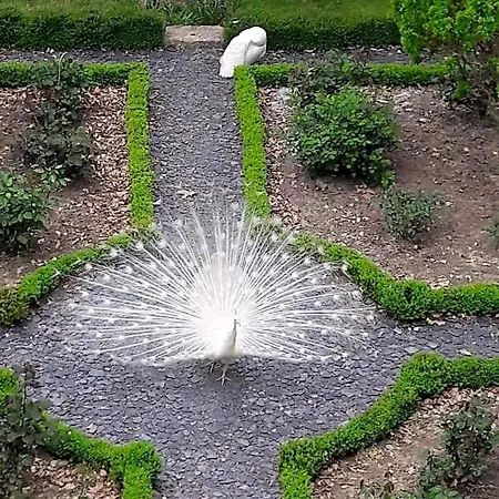 Panzió Chateau Mathias 4*
