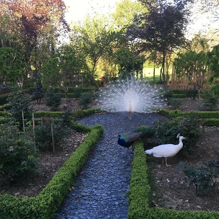 Bed & Breakfast Chateau Mathias