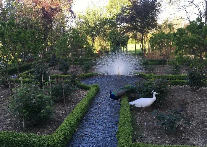 住宿加早餐酒店 Chateau Mathias